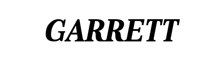 Aver Bold Italic  Free Fonts Download