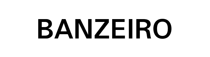 Padauk Bold  Free Fonts Download