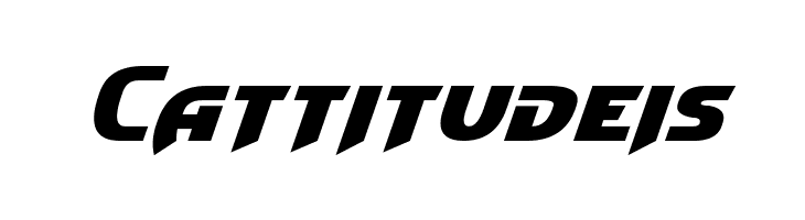 Convoy Oblique  Free Fonts Download