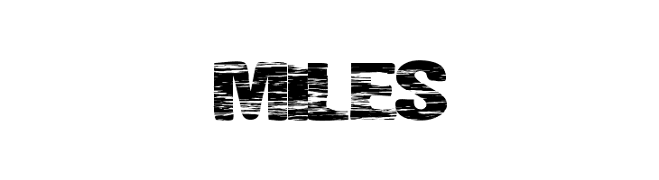 SummerFestival  Free Fonts Download