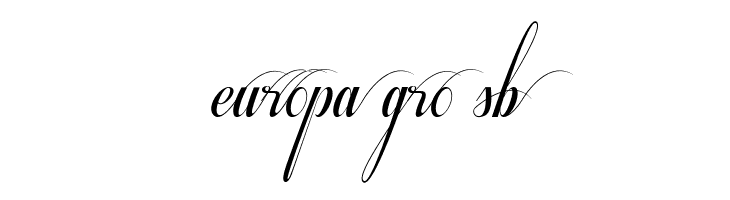 Respective Swashes  Free Fonts Download
