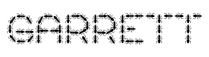 AntPile  Free Fonts Download