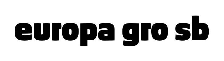 AbsolutPro-Black  Free Fonts Download