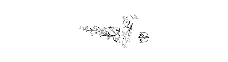 Soft Ornaments Six  Free Fonts Download