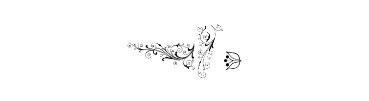 SoftOrnamentsSix  Free Fonts Download