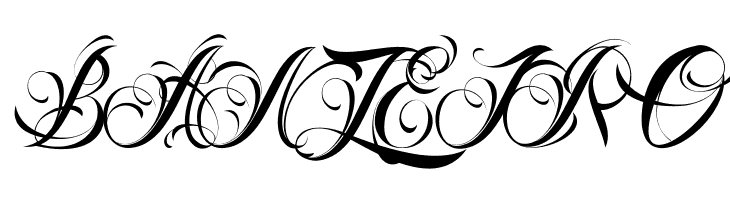 Nina Script Demo  Free Fonts Download