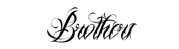 Nina Script Demo  Free Fonts Download