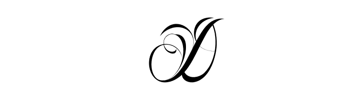 Nina Script Demo  Free Fonts Download