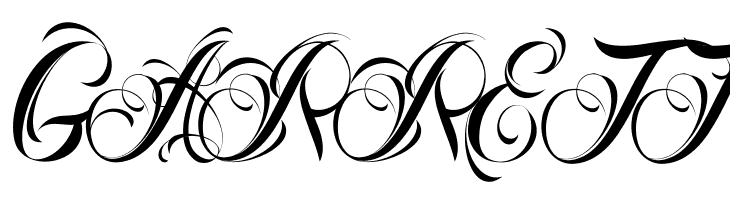 Nina Script Demo  Free Fonts Download