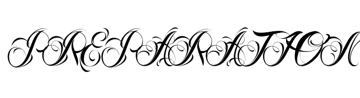 Nina Script Demo  Free Fonts Download