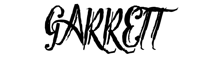 Tipbrush Script 2  Free Fonts Download