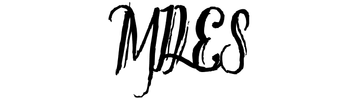 Tipbrush Script 2  Free Fonts Download