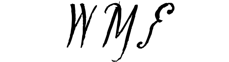 Tipbrush Script Slanted  Free Fonts Download