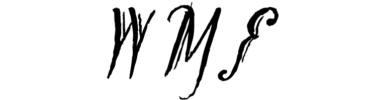 Tipbrush Script 2 Slanted  Free Fonts Download