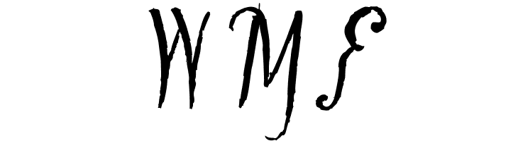 Tipbrush Script  Free Fonts Download