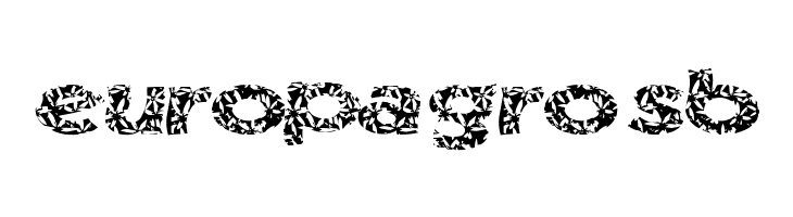 SurfShack  Free Fonts Download