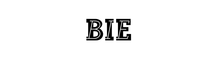 Landi_Echo  Free Fonts Download