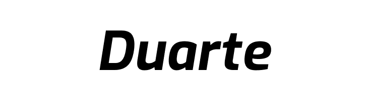 Exo Bold Italic  Free Fonts Download