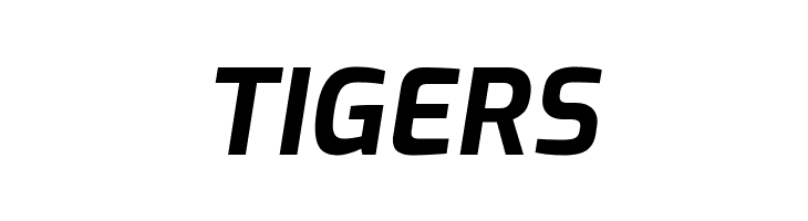 Exo Bold Italic  Free Fonts Download