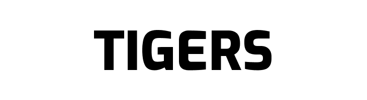 Exo ExtraBold  Free Fonts Download