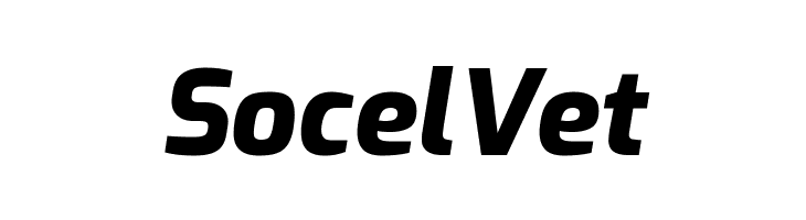 SocelVet Exo ExtraBold Italic Font