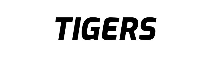 Exo ExtraBold Italic  Free Fonts Download