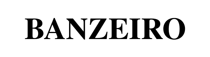 TeXGyreTermes-Bold  Free Fonts Download