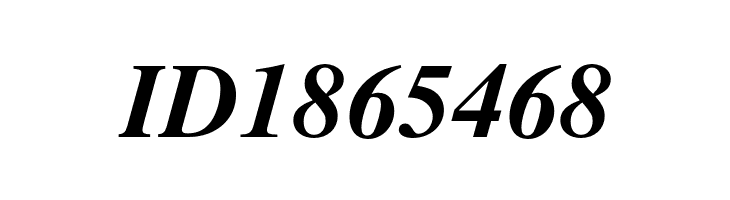 TeXGyreTermes-BoldItalic  Free Fonts Download