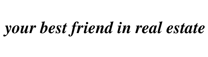 TeXGyreTermes-BoldItalic  Free Fonts Download