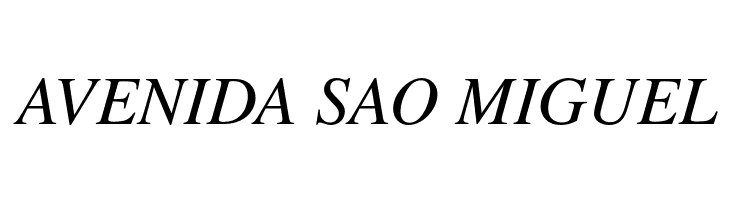 TeXGyreTermes-Italic  Free Fonts Download