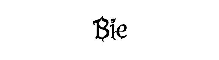 Pasión Acústica2 Bold  Free Fonts Download