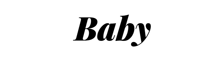 Playfair Display Black Italic  Free Fonts Download