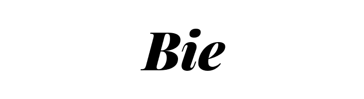 Playfair Display Black Italic  Free Fonts Download