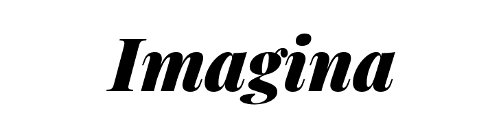 Playfair Display Black Italic  Free Fonts Download