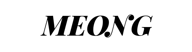 Playfair Display Black Italic  Free Fonts Download