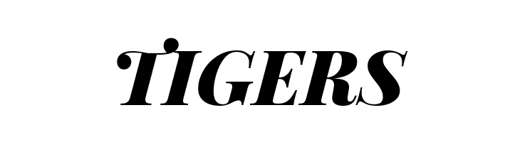 Playfair Display Black Italic  Free Fonts Download