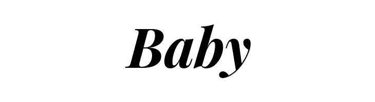 Playfair Display Bold Italic  Free Fonts Download