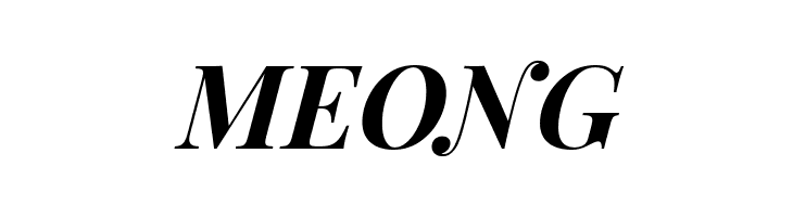 Playfair Display Bold Italic  Free Fonts Download