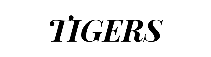 Playfair Display Bold Italic  Free Fonts Download