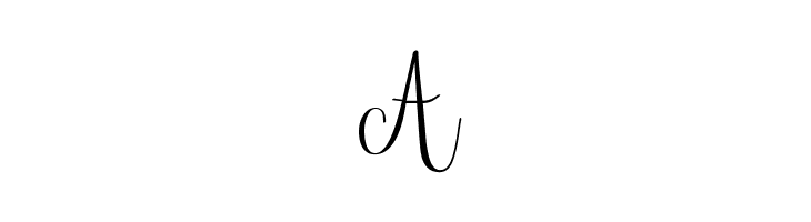 Janda Stylish Script  Free Fonts Download