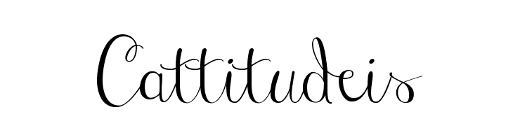 Janda Stylish Script  Free Fonts Download