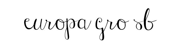 Janda Stylish Script  Free Fonts Download