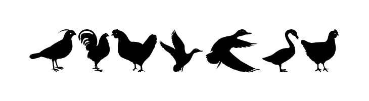 FowlPlay  Free Fonts Download