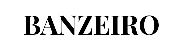 Playfair Display Bold  Free Fonts Download