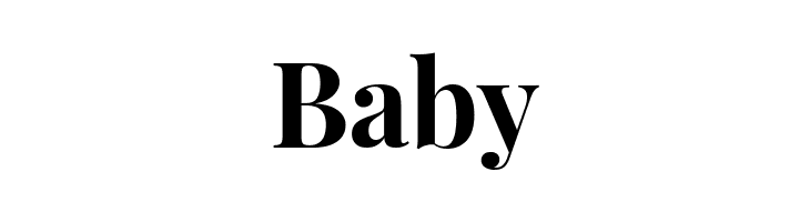 Playfair Display Bold  Free Fonts Download