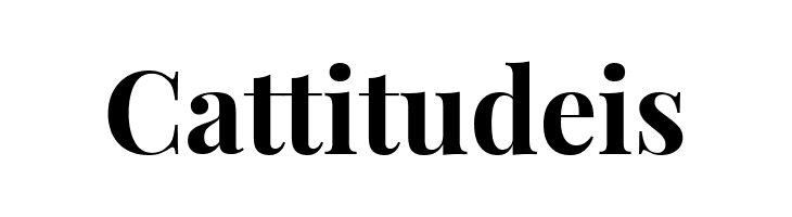 Playfair Display Bold  Free Fonts Download