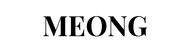 Playfair Display Bold  Free Fonts Download