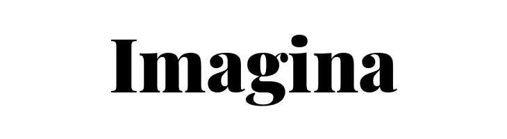 Playfair Display Black  Free Fonts Download