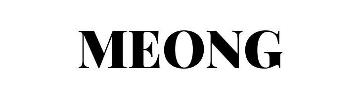 Playfair Display Black  Free Fonts Download