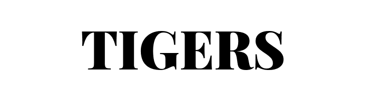 Playfair Display Black  Free Fonts Download